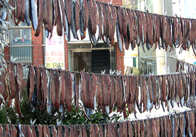 겨울 제철 별미 수산물은?