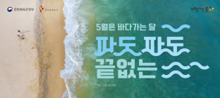 파도 파도 끝없는 대한민국 바다의 매력 속으로 