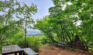 봄산에 올라 바라보는 풍경