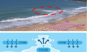 여름철 해수욕장, 실시간 이안류 정보 제공한다