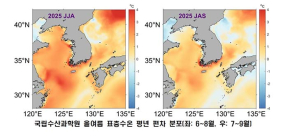 [뉴스 초점] 바다가 뜨겁다, 고수온 위기경보 ‘심각’단계